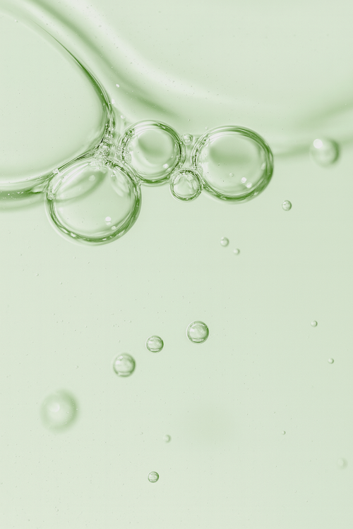 Lactobacillus plantarum (Nu-06):