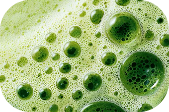 gominolas de vinagre de sidra de manzana