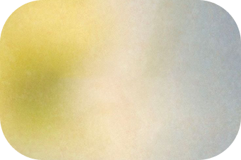 gominolas de vinagre de sidra de manzana