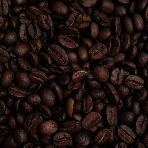 Extracto de cafeína: