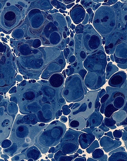 creatina monohidratada