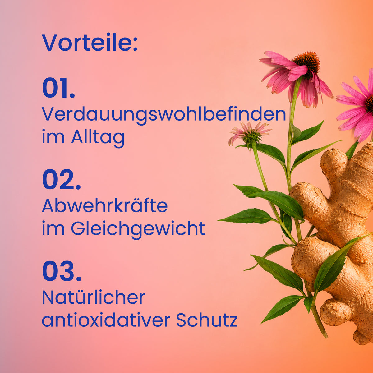 Vorteile des Abwehrkräfte-Packs [de]