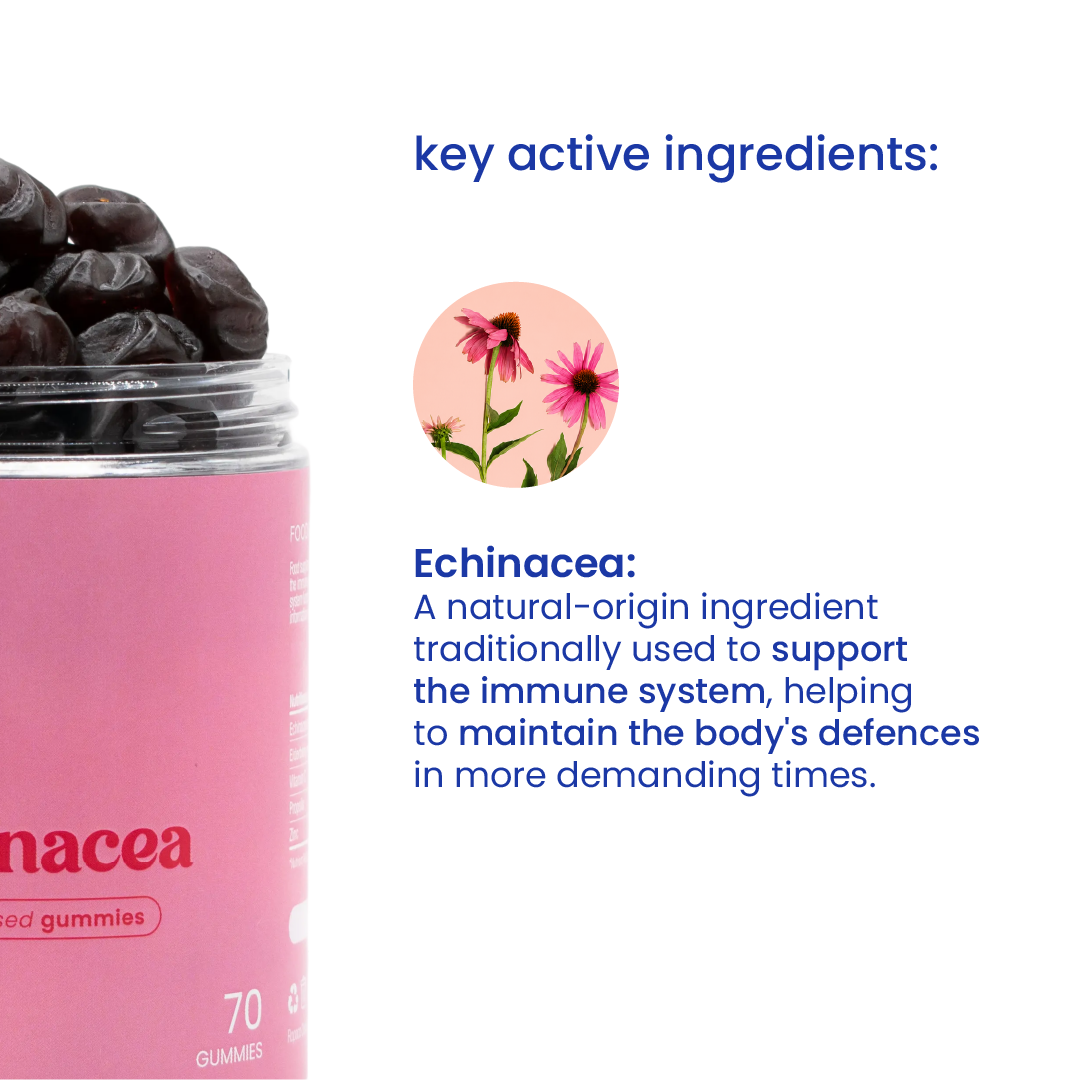 Key active ingredients of echinacea gummies [en]