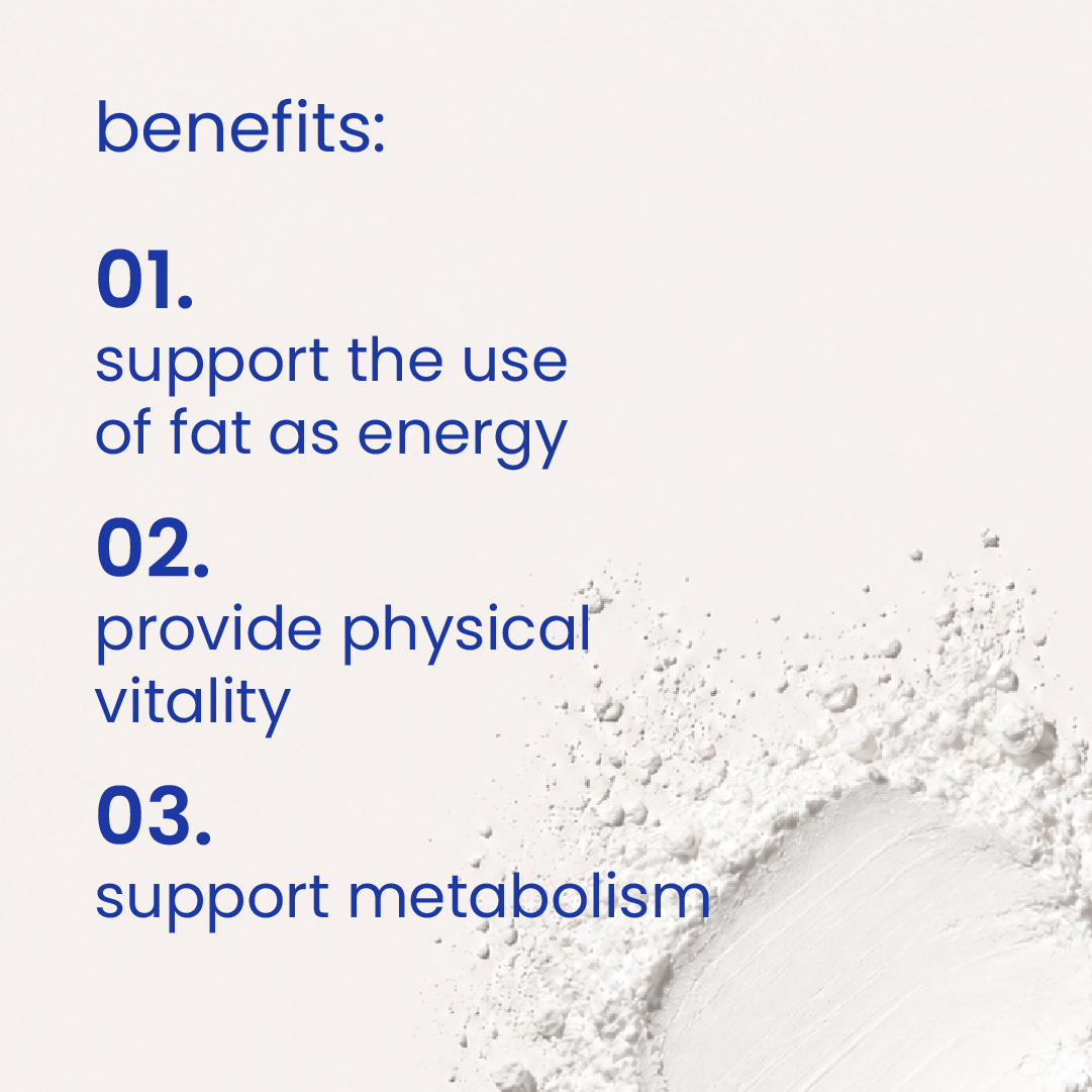 Benefits of L-carnitine gummies [en]