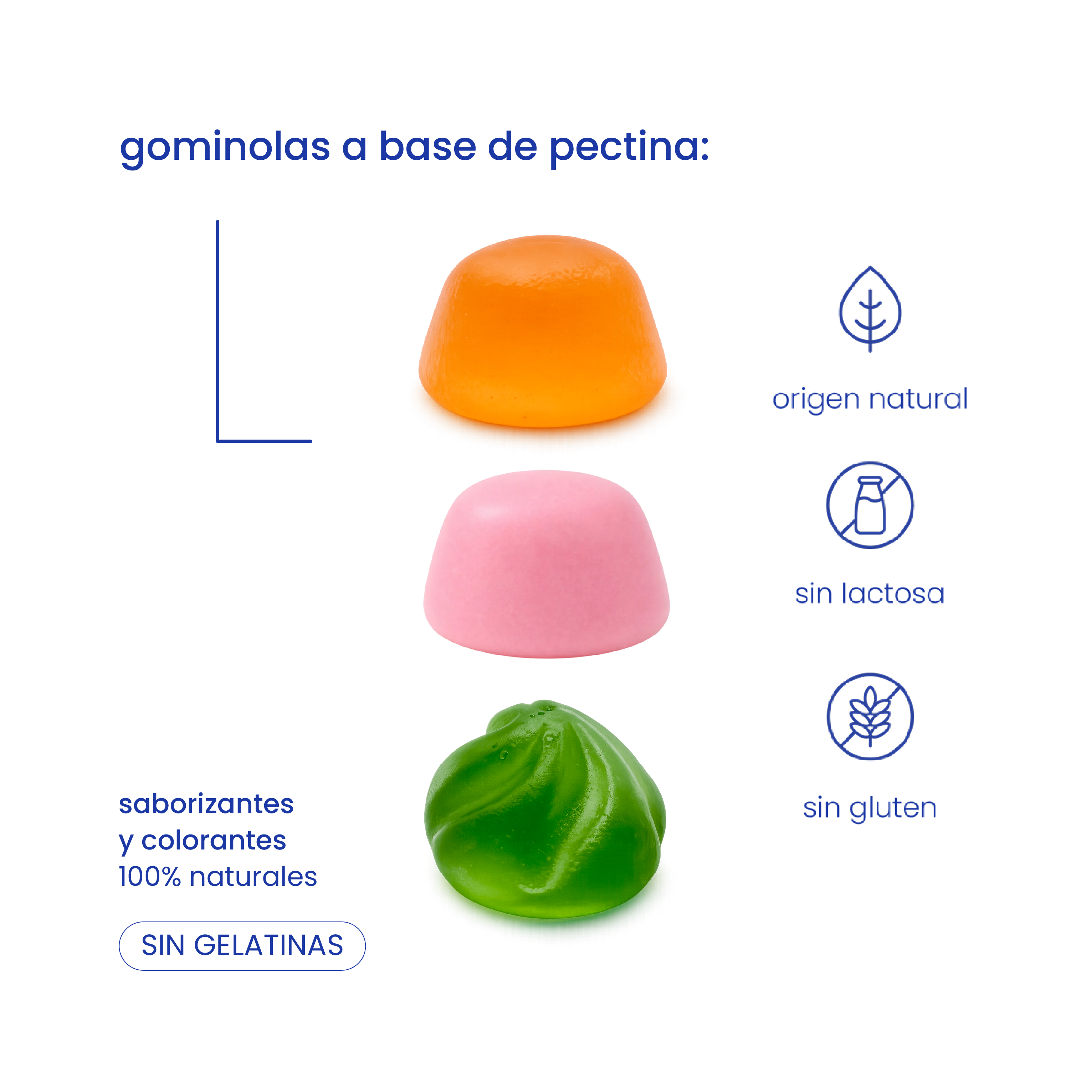 pack exclusivo lanzamiento - suplementación completa + botella