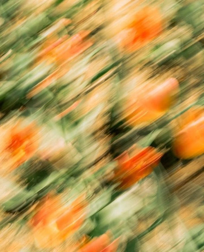 gominolas de ashwagandha para equilibrio mental