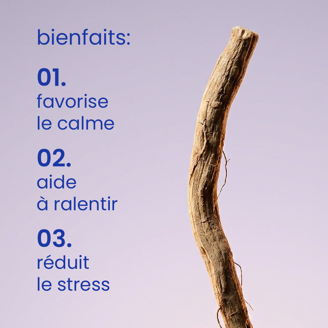 Bienfaits des gummies à l'ashwagandha [fr]