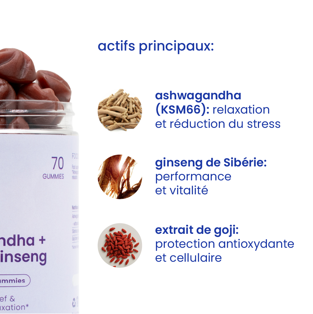Principaux actifs des gummies à l'ashwagandha [fr]