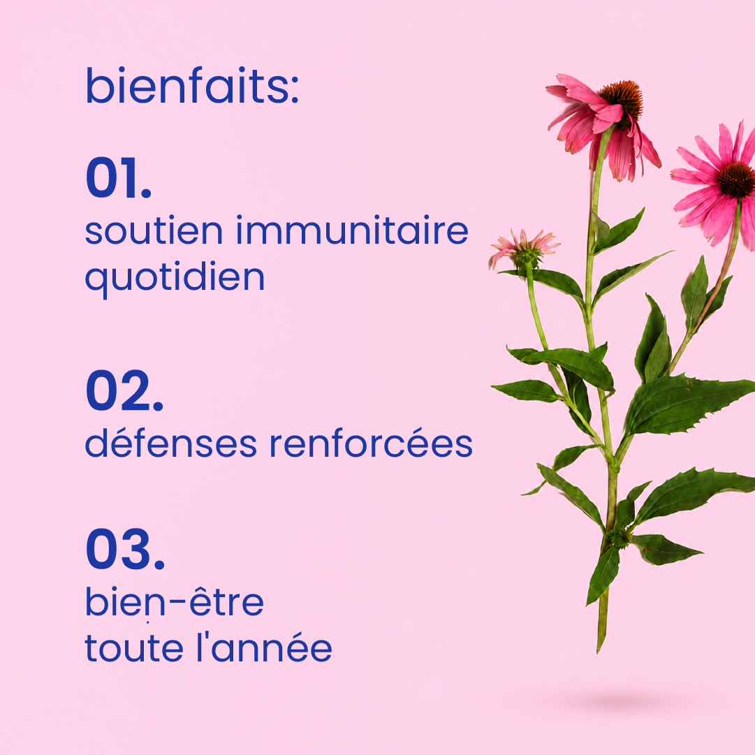 Bienfaits des gummies à l'échinacée [fr]