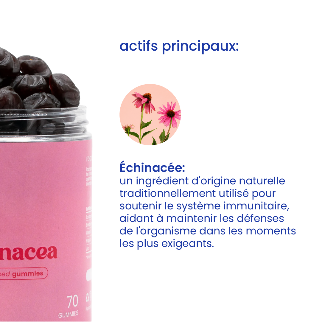 Principaux actifs des gummies à l'échinacée [fr]
