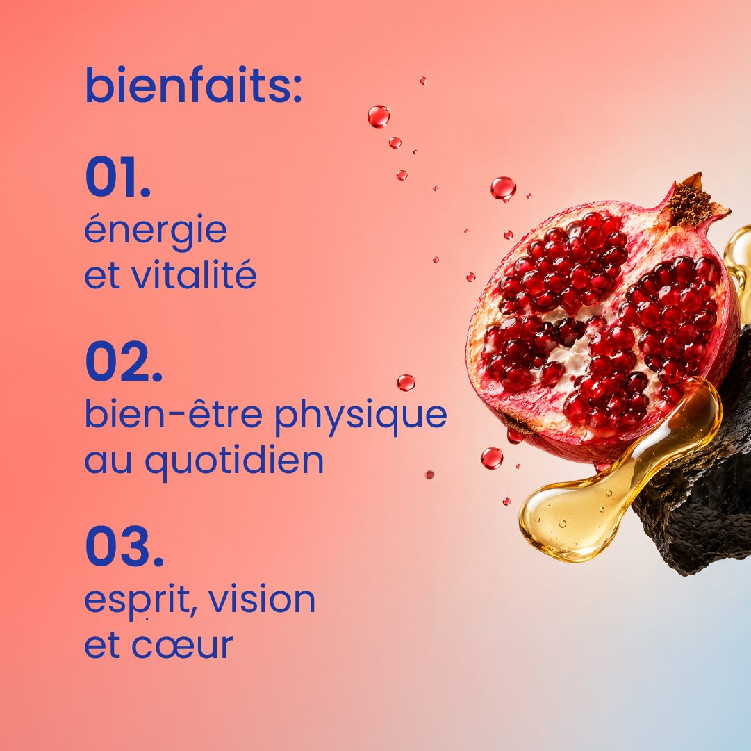 Bienfaits du pack énergie et concentration [fr]