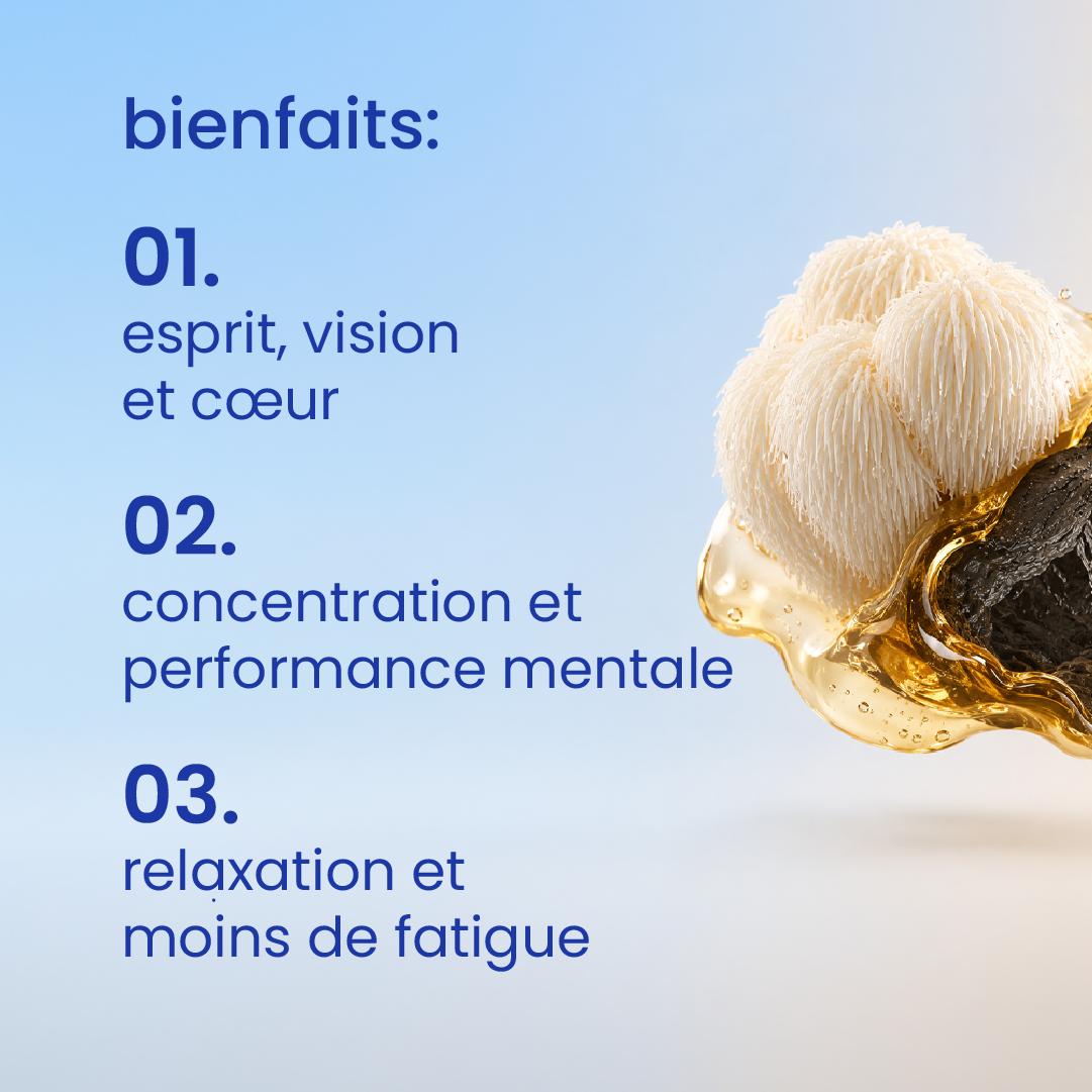 Bienfaits du pack performance et concentration [fr]