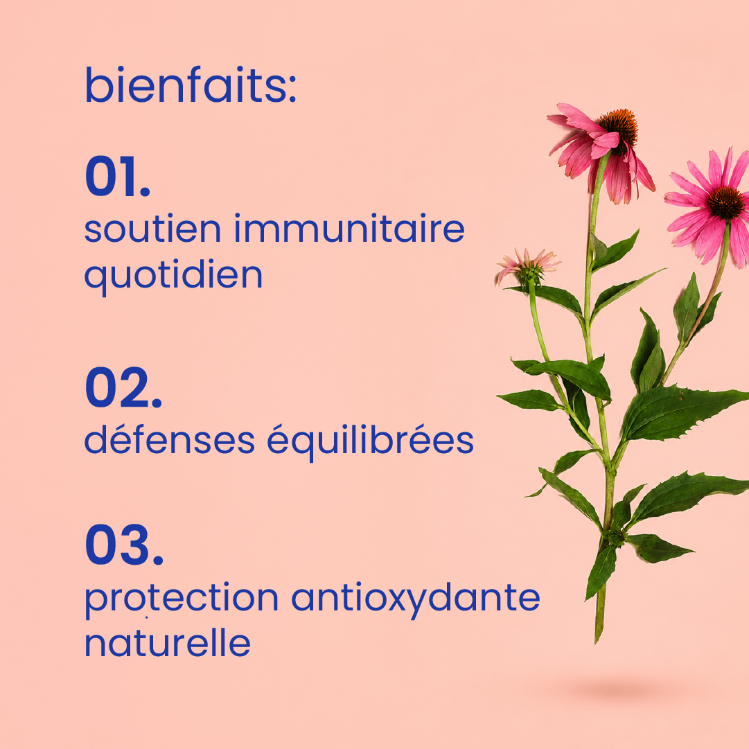 Bienfaits des gummies pour l'immunité [fr]