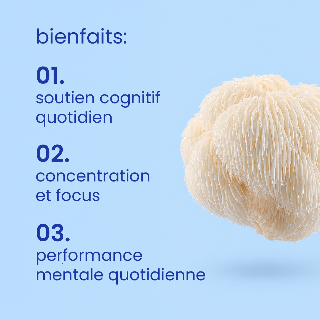 Bienfaits des gummies crinière de lion [fr]