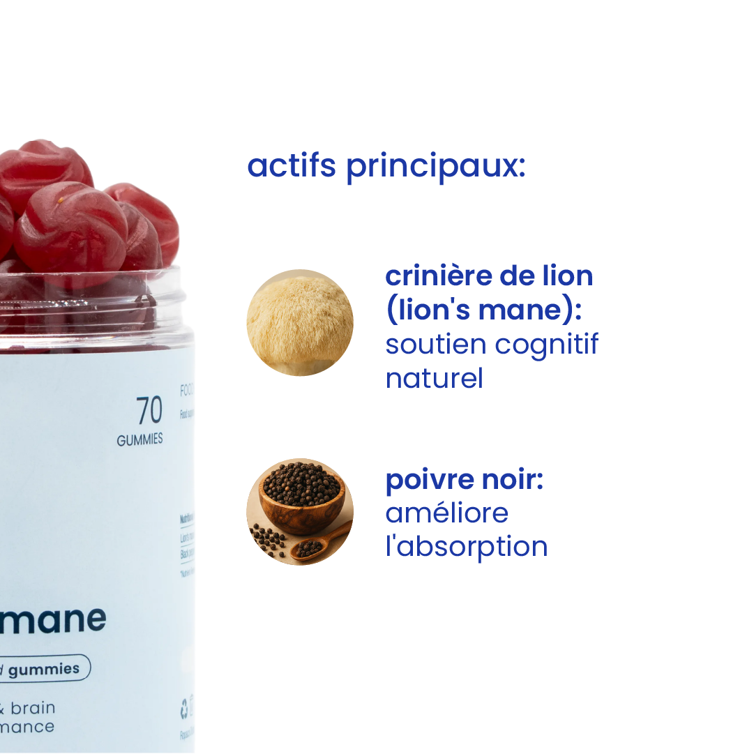 Principaux actifs des gummies crinière de lion [fr]