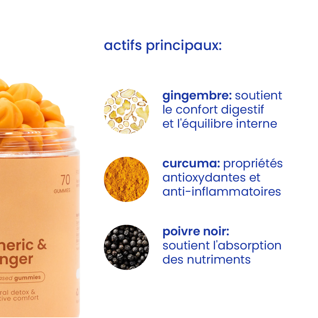 Principaux actifs des gummies curcuma et gingembre [fr]