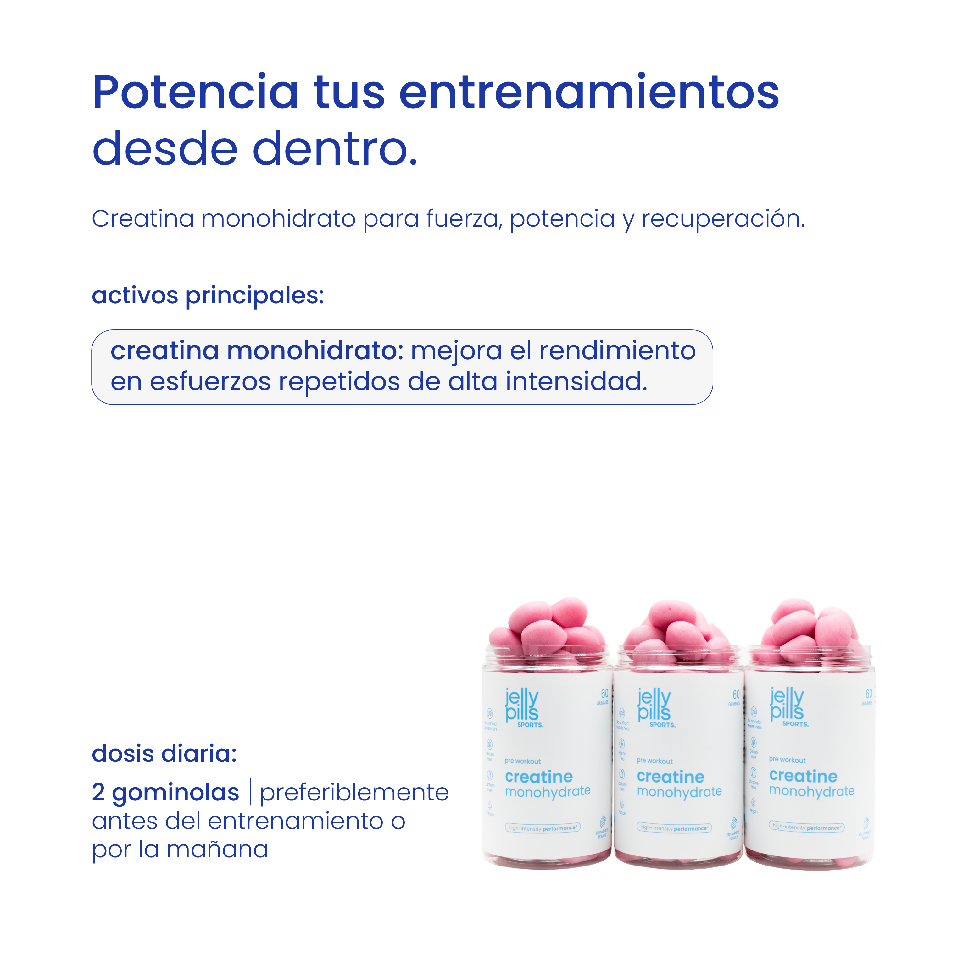 pack limitado creatine lanzamiento + botella