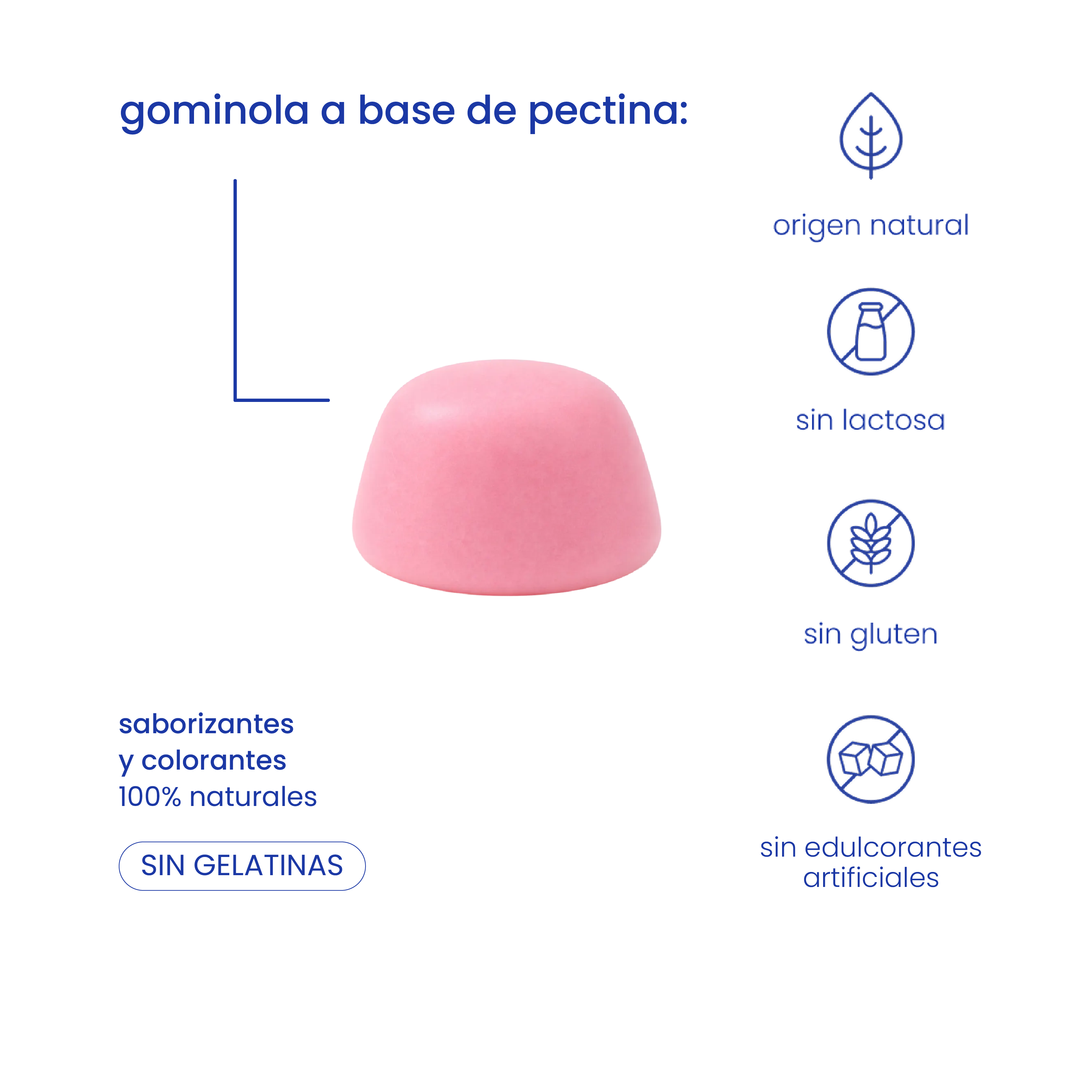 pack limitado creatine lanzamiento + botella