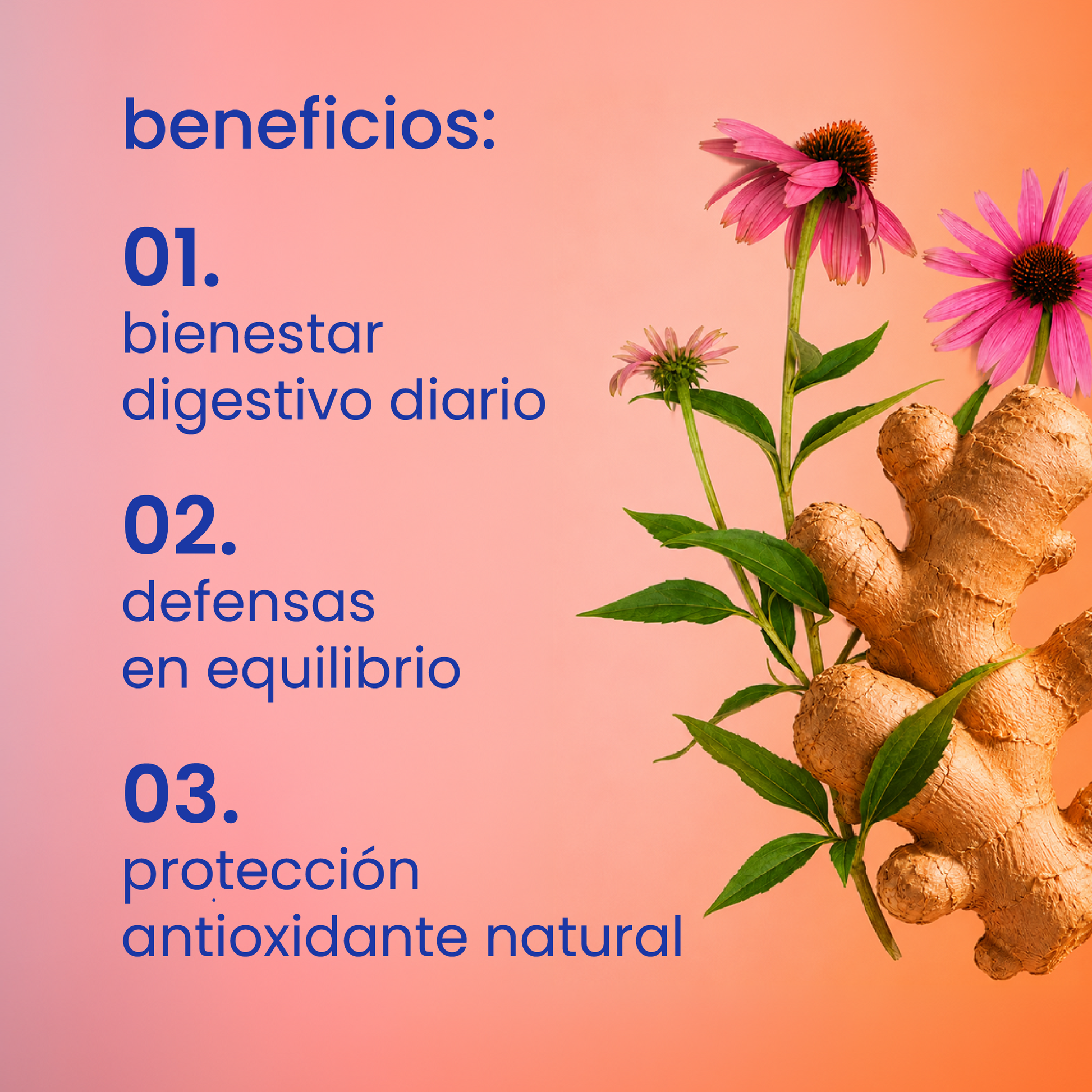 Beneficios del pack para el refuerzo de las defensas