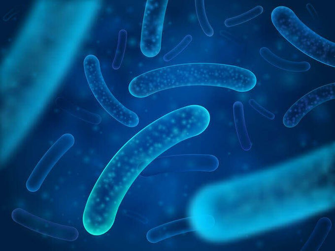 gominolas anti acné para piel grasa