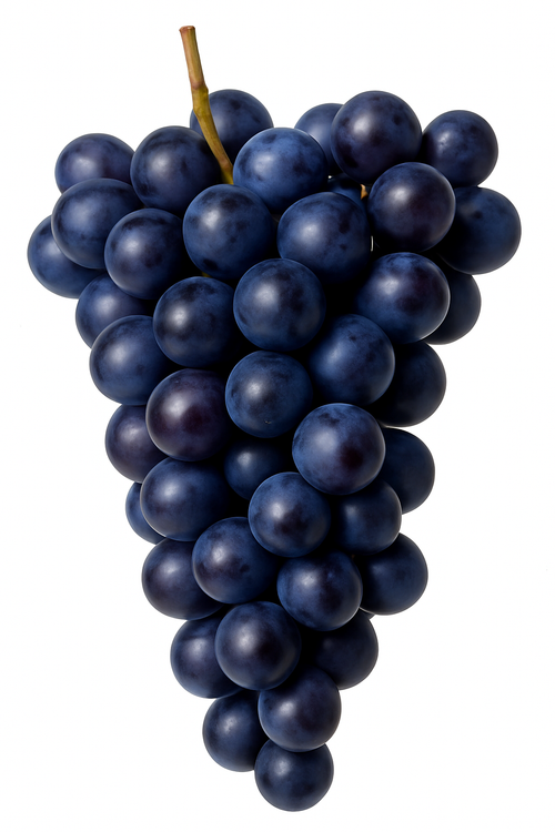Resveratrol: