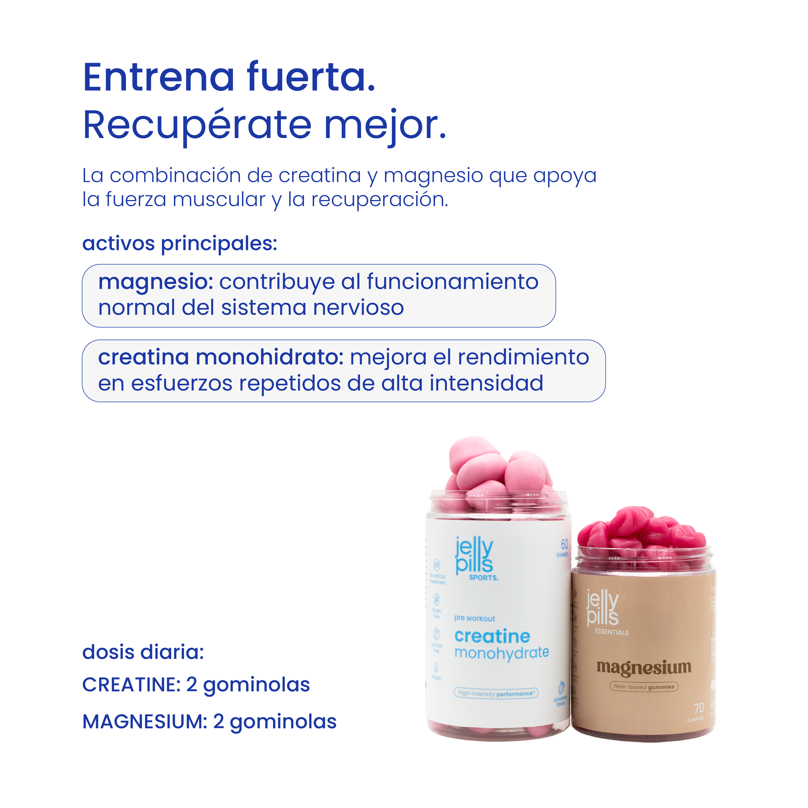 pack para fuerza, constancia y recuperación muscular