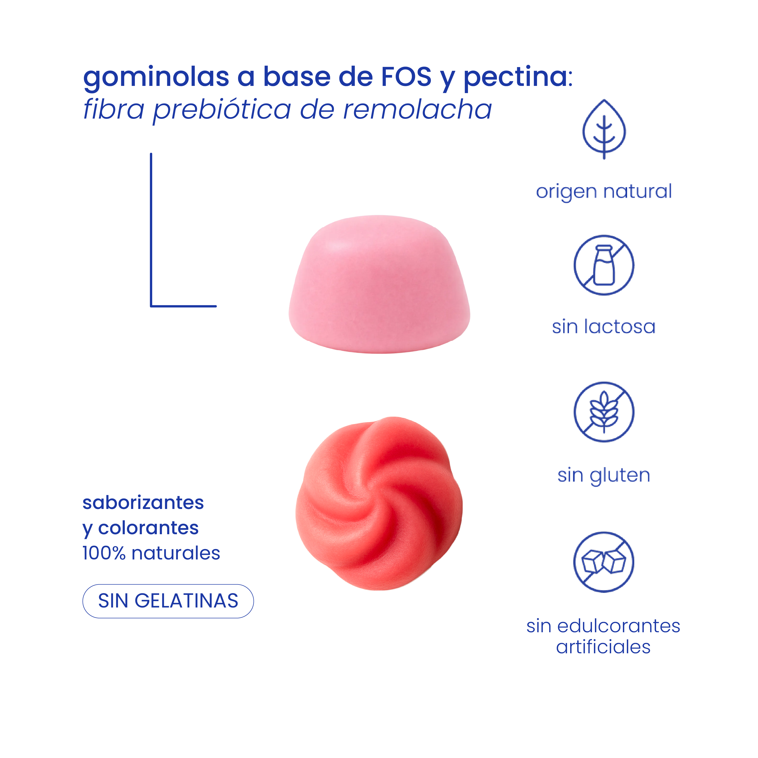 pack para fuerza, constancia y recuperación muscular