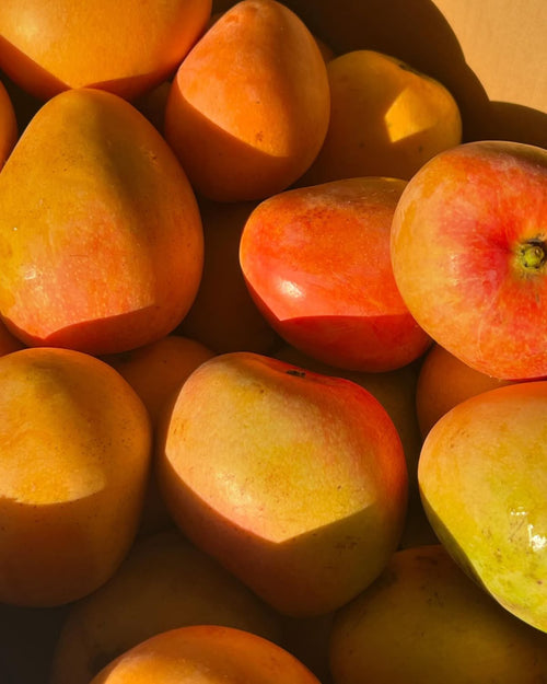Yodo y vitaminas B6 y B12: